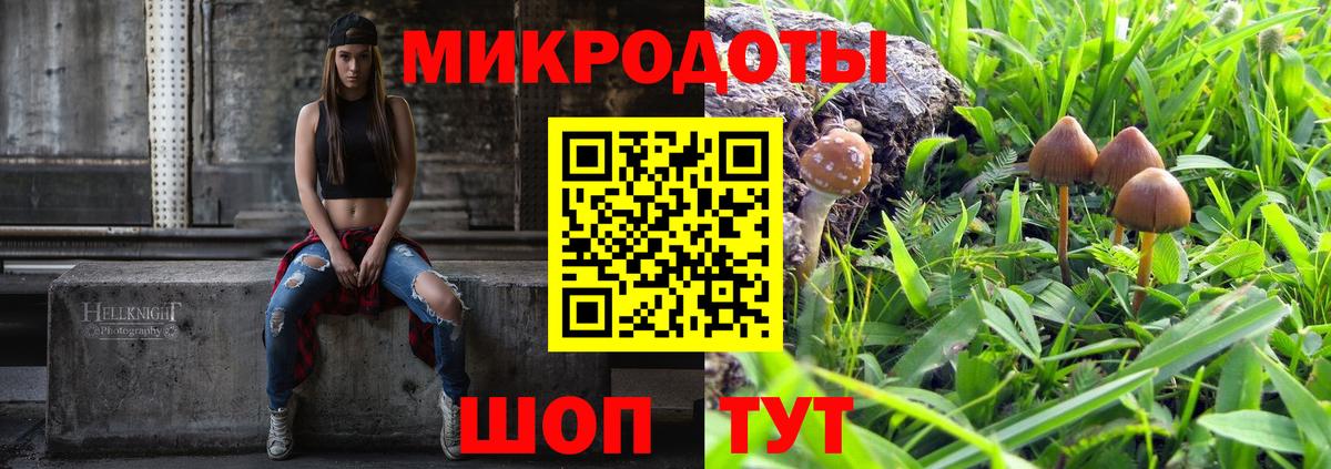 Псилоцибиновые грибы мицелий Домодедово